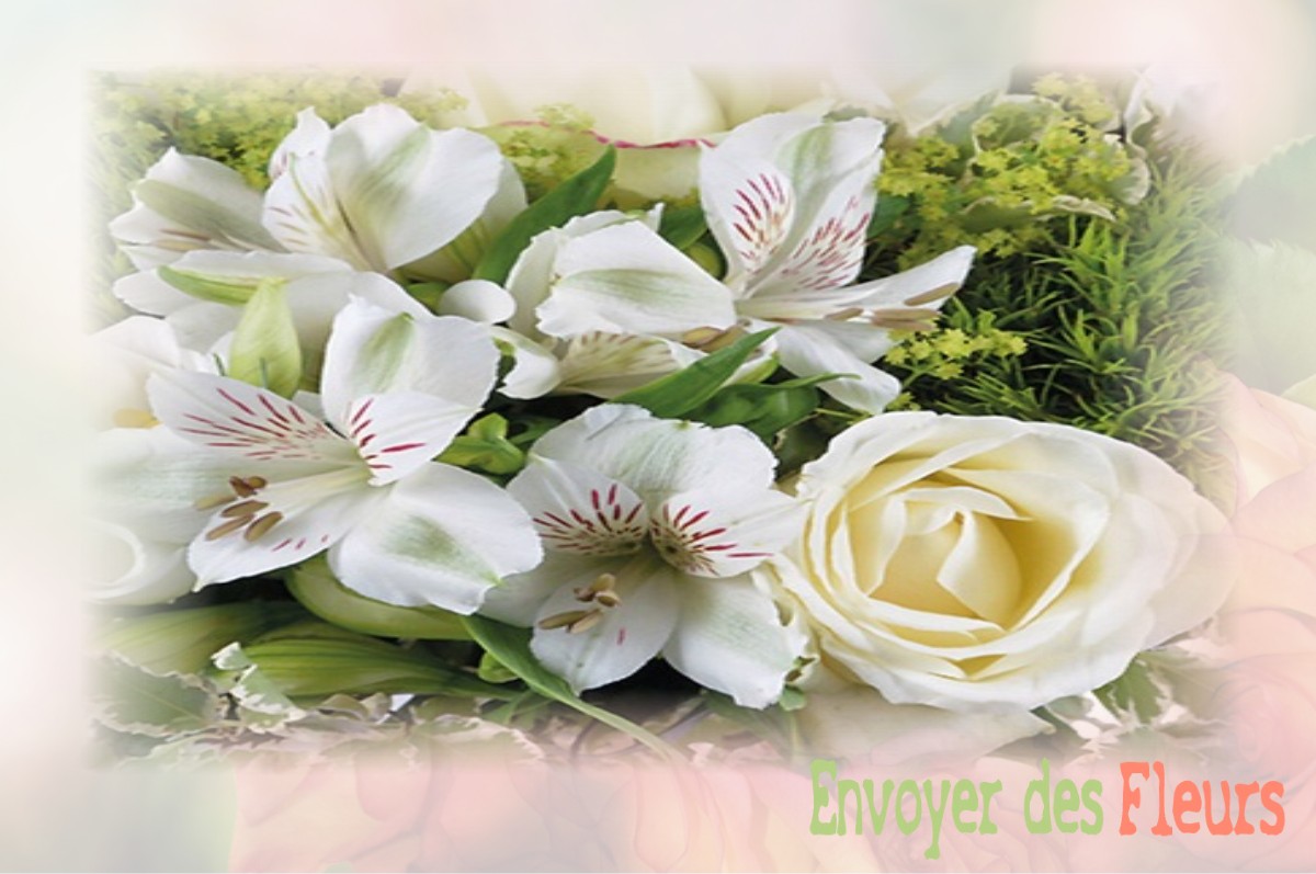 envoyer des fleurs à à SAINT-ANDRE-EN-VIVARAIS